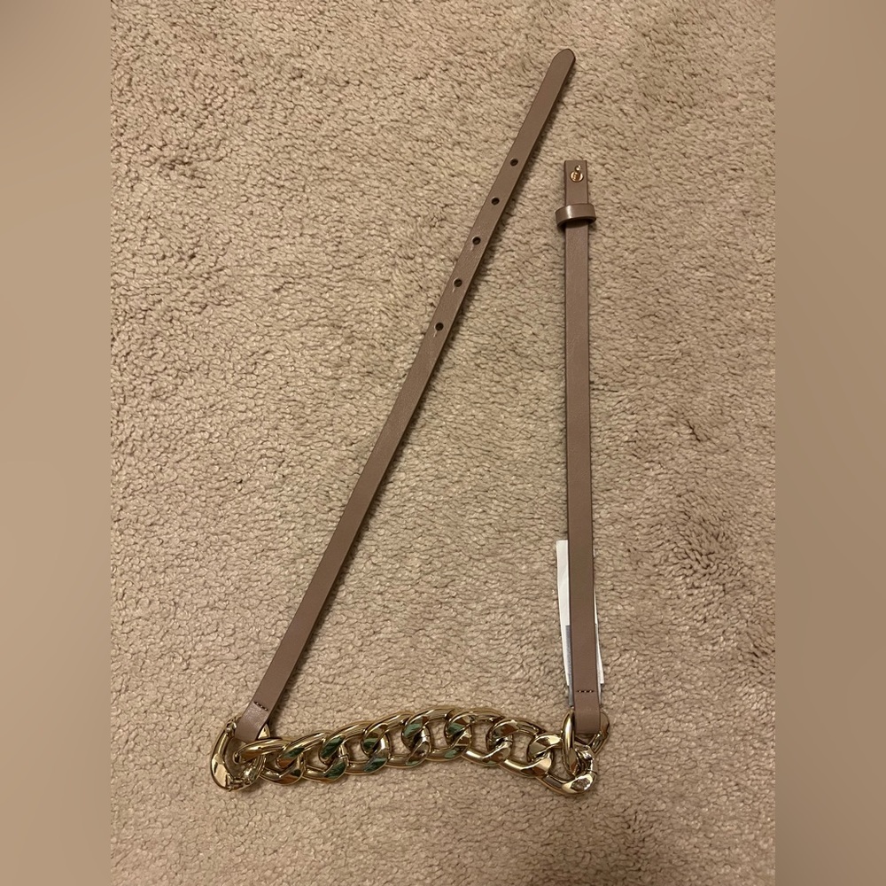 Express Chain Link Belt - Picture 2 of 6